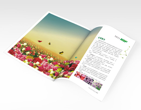 花卉画册设计-海垦花卉1